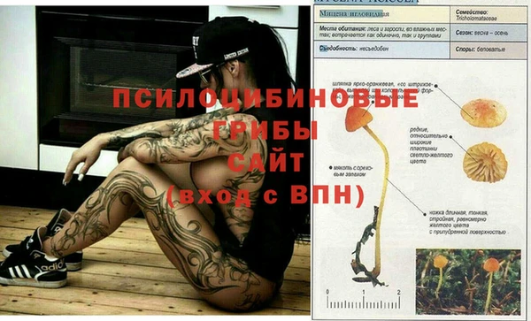 мет Инсар