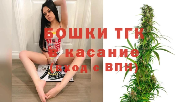 2c-b Каменка